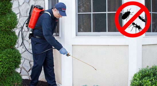 Çerkezköy Bit İlaçlama böcek ilaçlama ve haşere kontrolü — ilaclama-tr.com